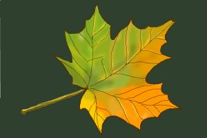 Autumn Leaves Drawing At PaintingValley Explore Collection Of