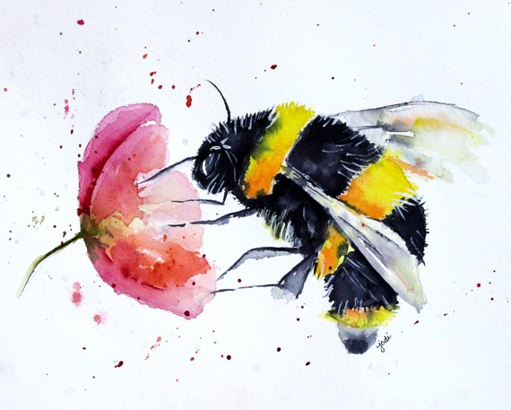 Bee On Flower Drawing At Paintingvalley Explore Collection Of Bee