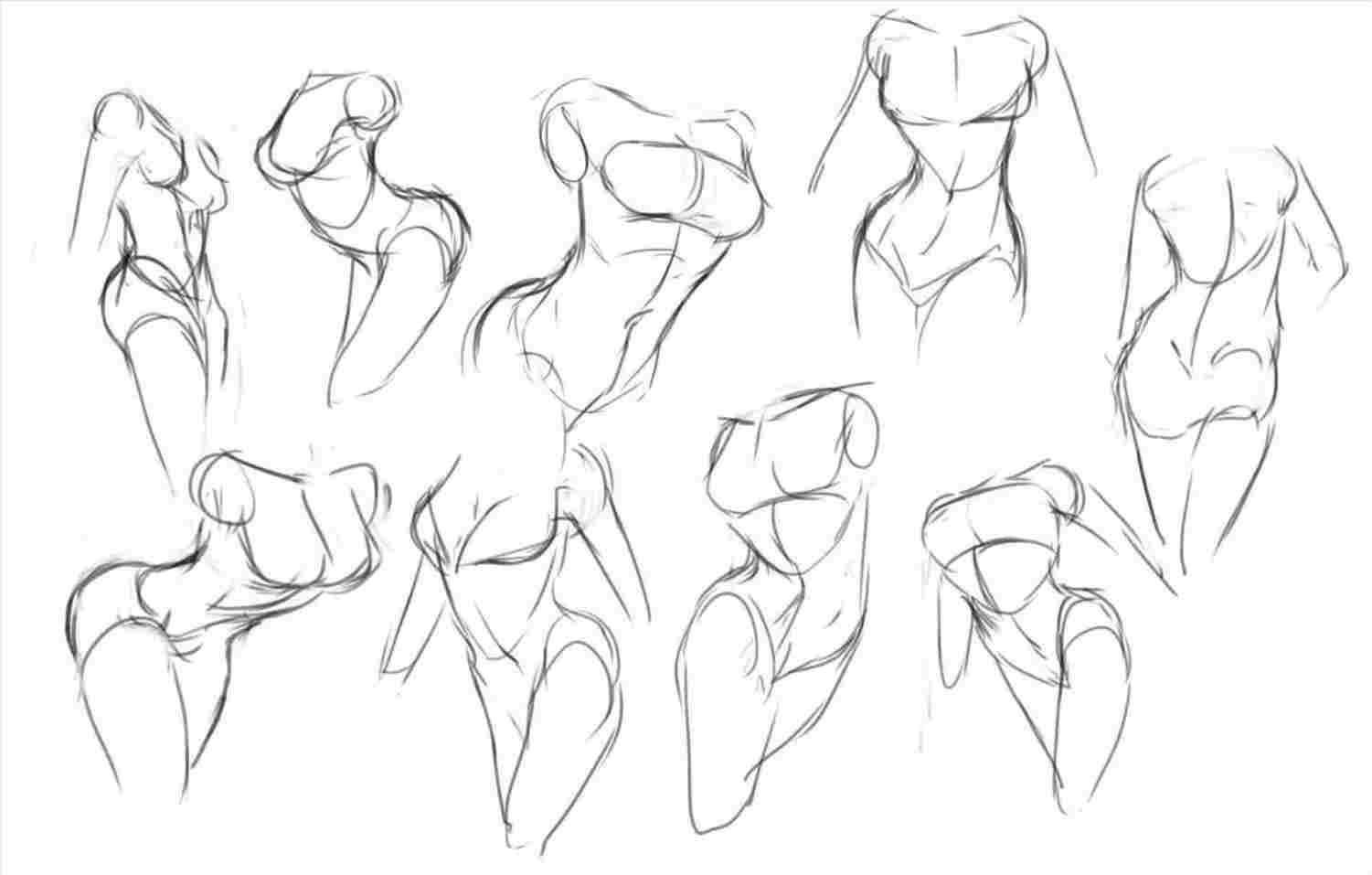 Body Drawing Reference At Paintingvalley Explore Collection Of