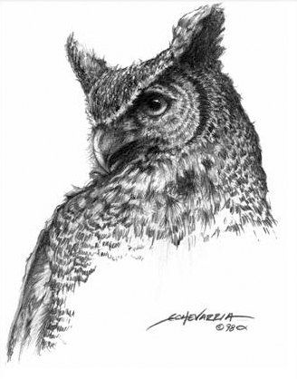 Cool Owl Drawings At PaintingValley Explore Collection Of Cool