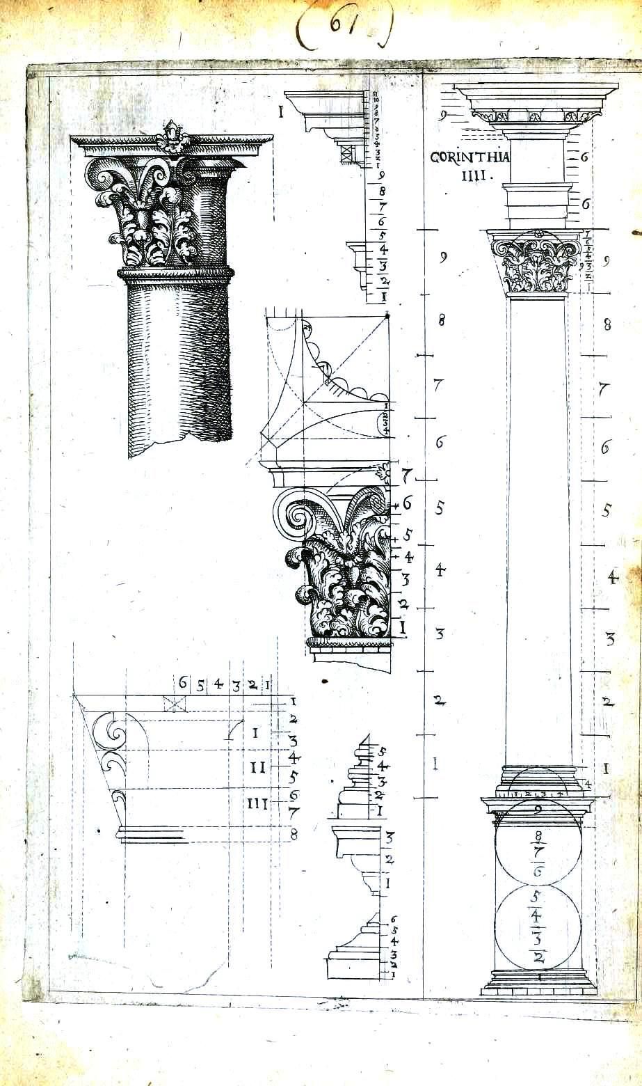 Corinthian Column Drawing At Paintingvalley Explore Collection Of