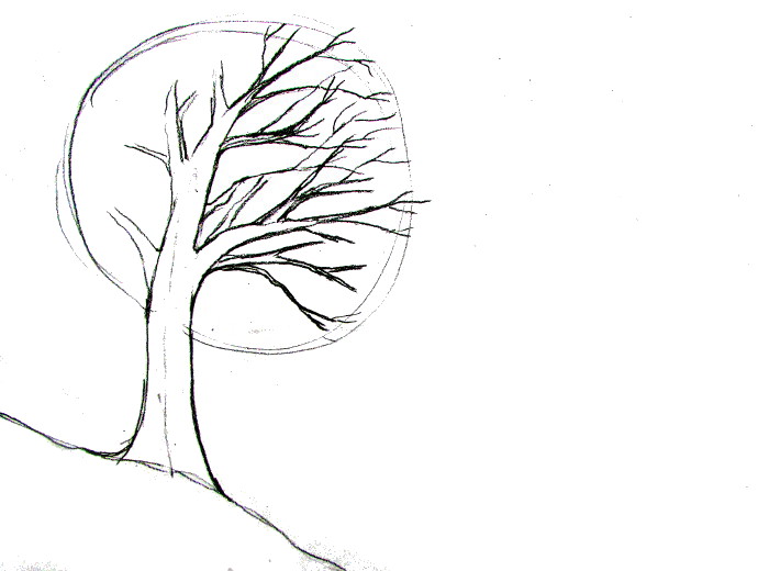 Dry Tree Drawing At PaintingValley Explore Collection Of Dry Tree