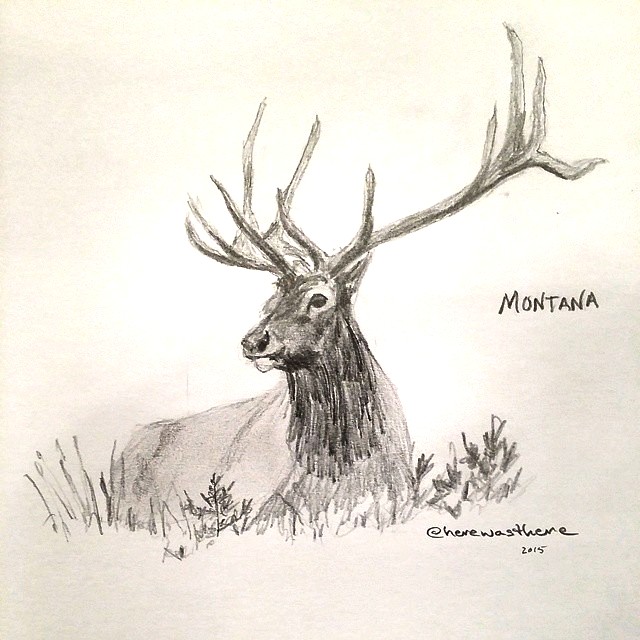 Elk Pencil Drawings At PaintingValley Explore Collection Of Elk