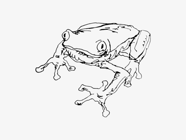 Frog Line Drawing At Paintingvalley Explore Collection Of Frog