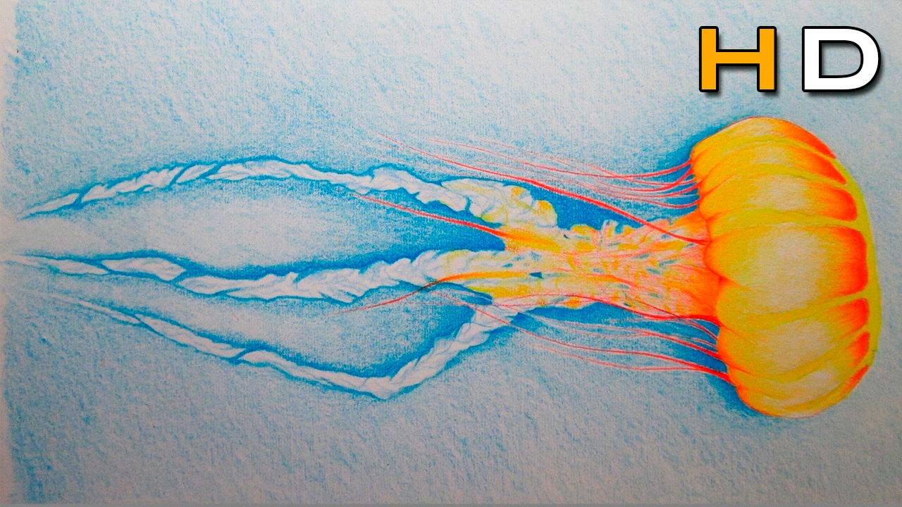 Jellyfish Drawing Color At PaintingValley Explore Collection Of