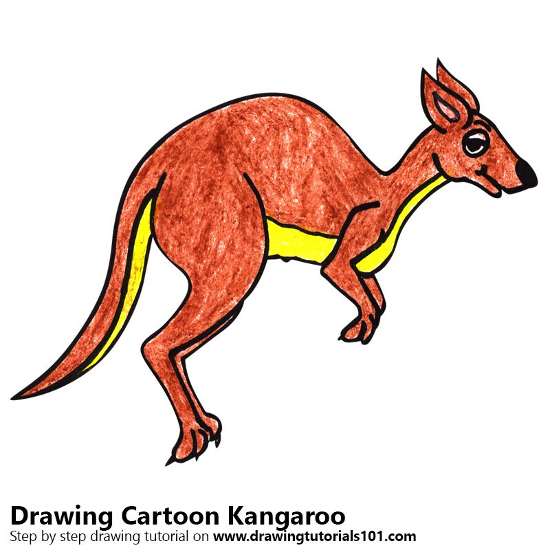 Cartoon kangaroo