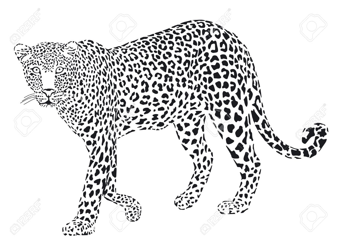 Leopard Line Drawing At PaintingValley Explore Collection Of