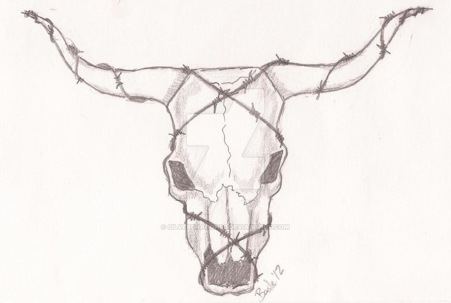 Longhorn Skull Drawing At Paintingvalley Explore Collection Of