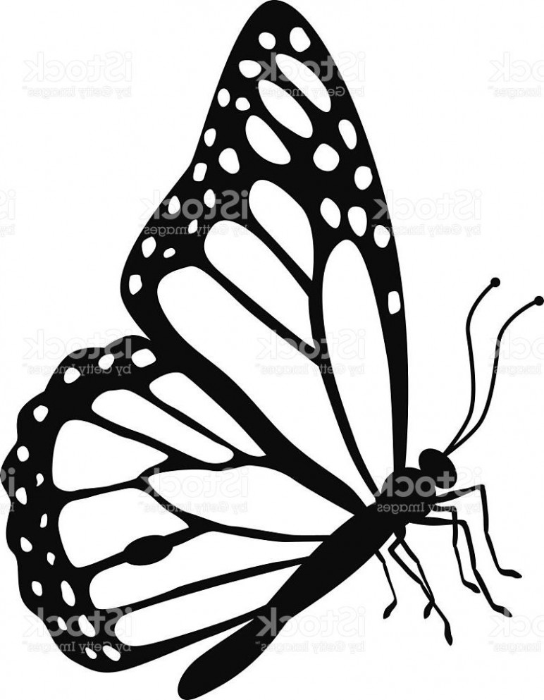 Monarch Butterfly Drawing Black And White At Paintingvalley