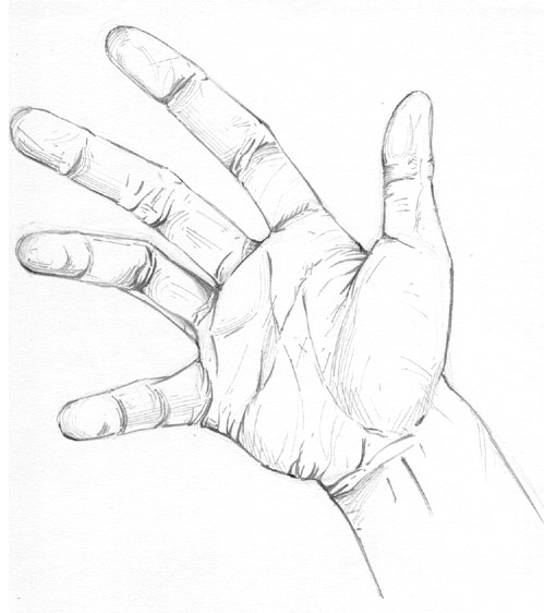 Palm Of Hand Drawing At Paintingvalley Explore Collection Of Palm