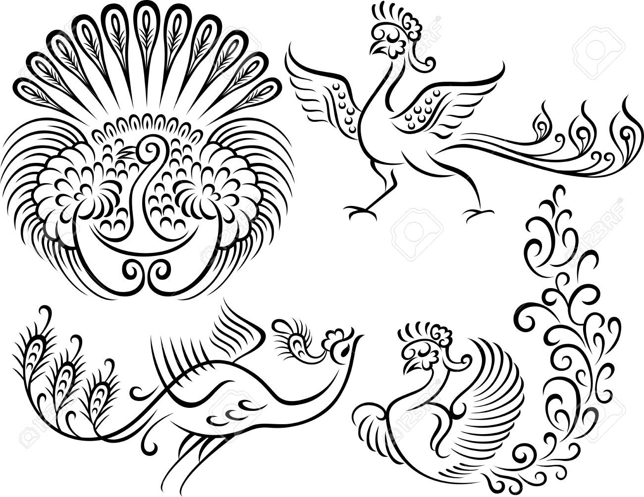 Peacock Drawing Outline At PaintingValley Explore Collection Of