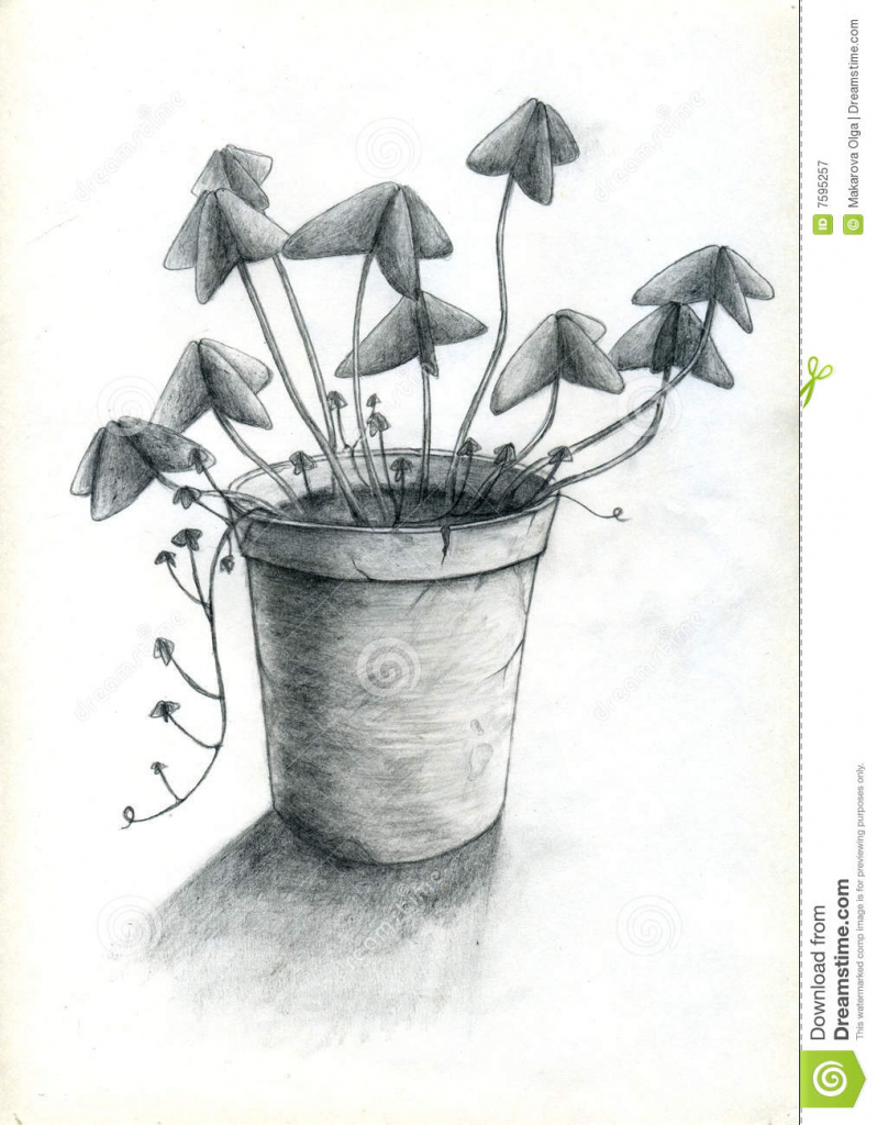 Plant In Pot Drawing At Paintingvalley Explore Collection Of