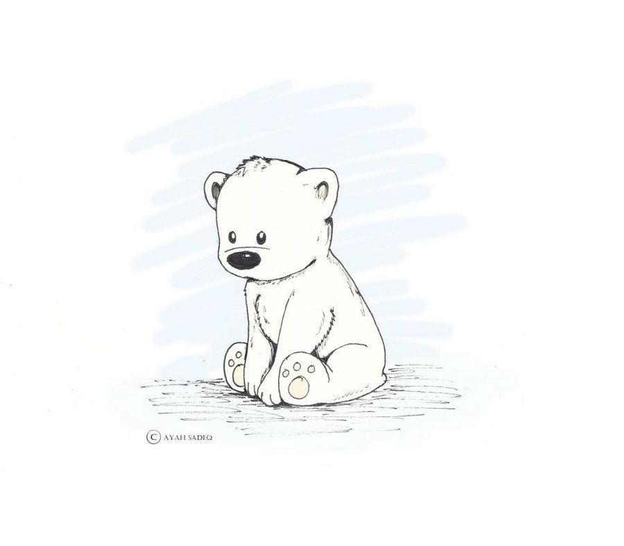 Polar Bear Cute Drawing At Paintingvalley Explore Collection Of