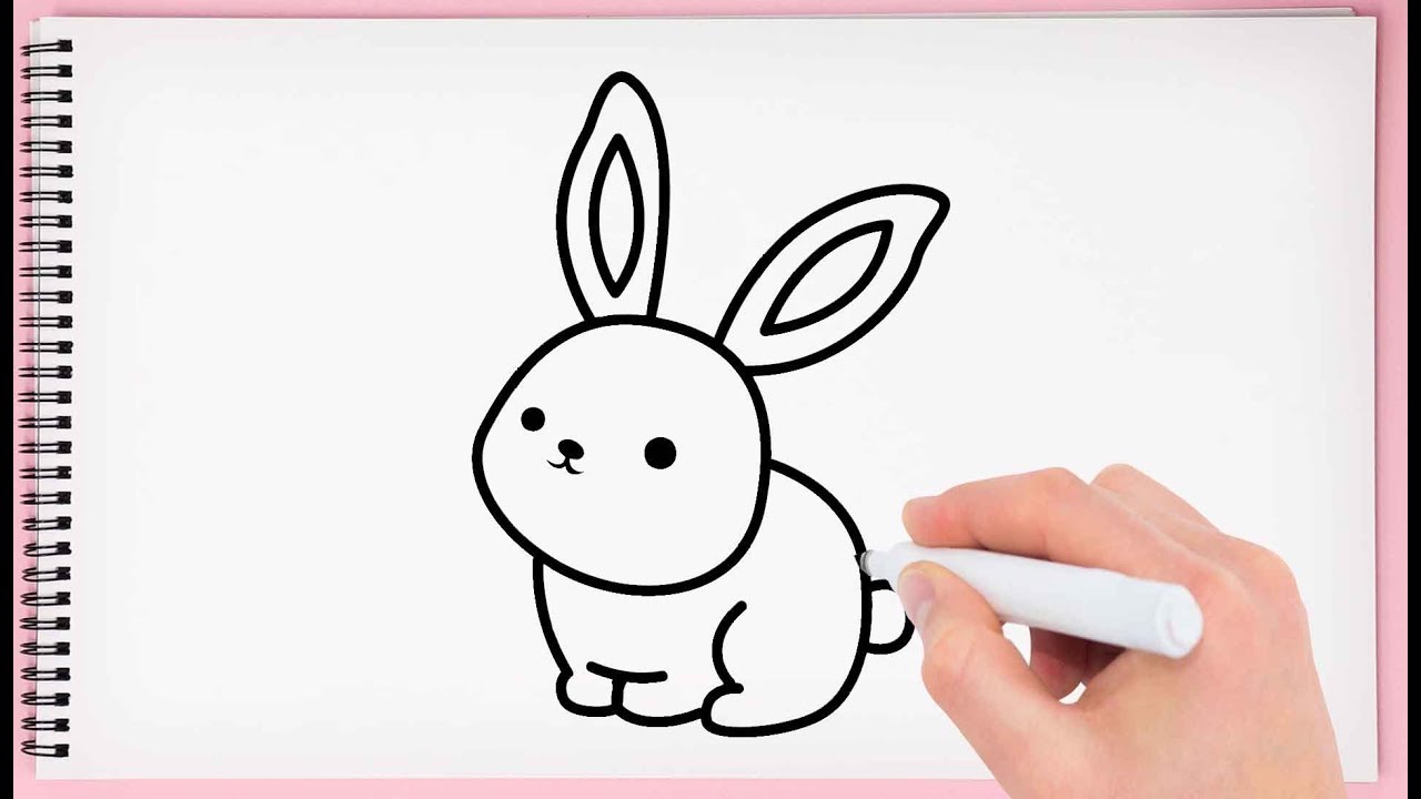 rabbit drawing picture
