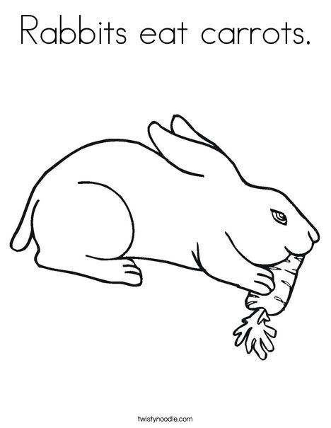 rabbit eating carrot drawing