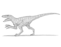 Raptor Dinosaur Drawing At PaintingValley Explore Collection Of