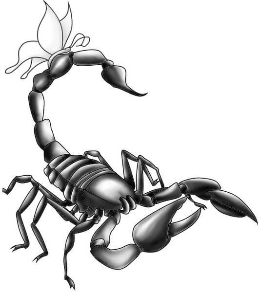 Scorpion Tattoo Drawing At PaintingValley Explore Collection Of