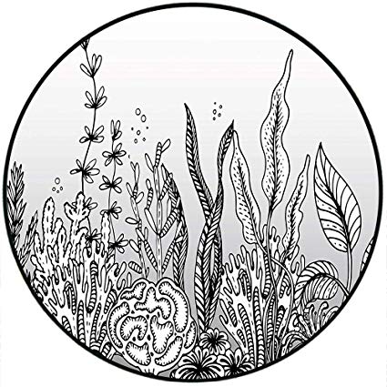 Sea Plants Drawing At Paintingvalley Explore Collection Of Sea