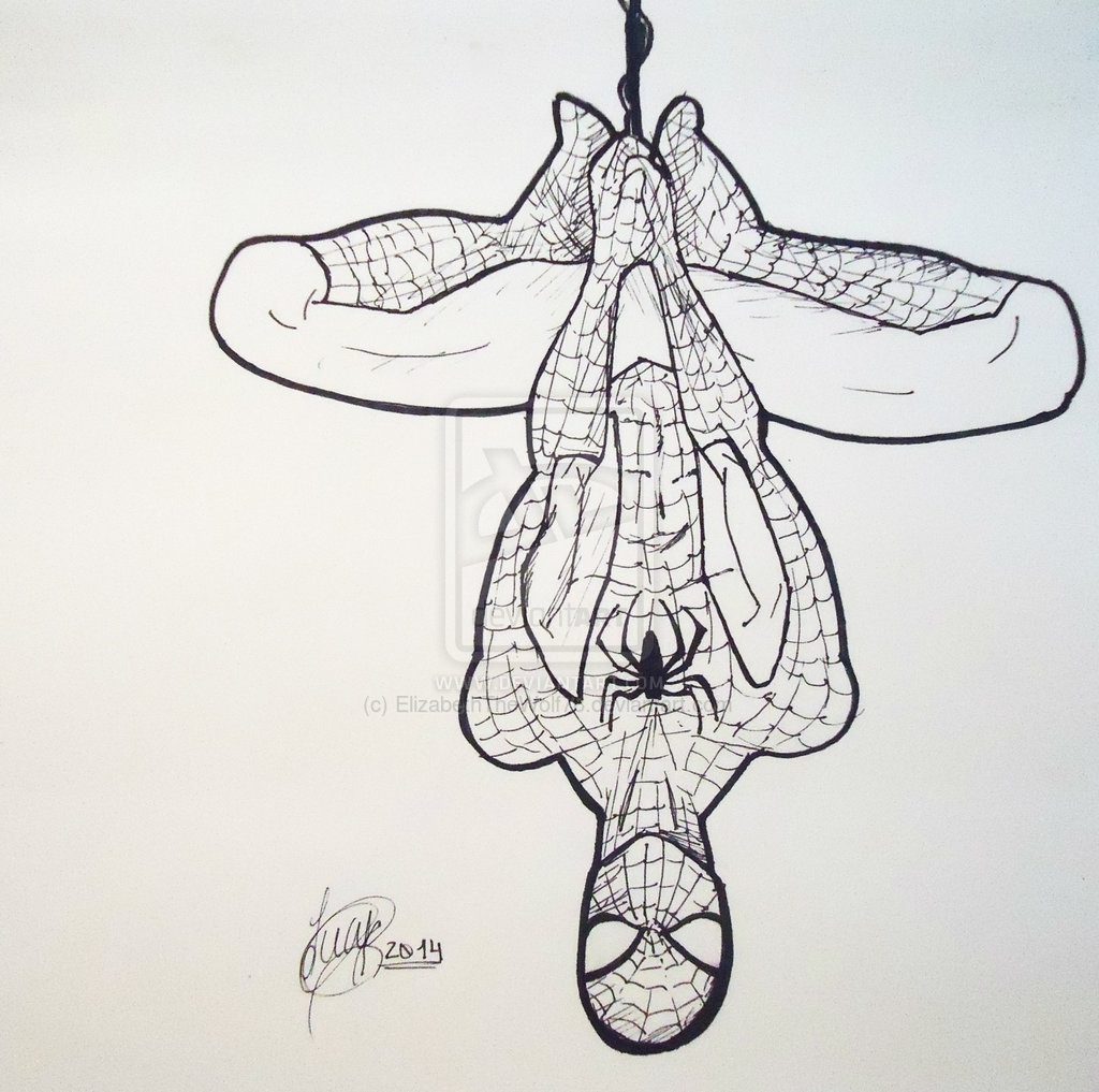 Spiderman Drawing Images At Paintingvalley Explore Collection Of