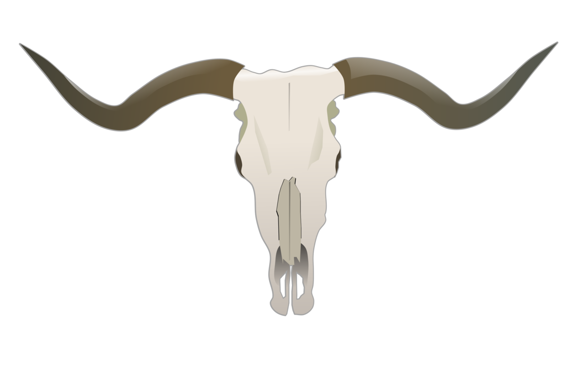 Texas Longhorn Drawing At PaintingValley Explore Collection Of