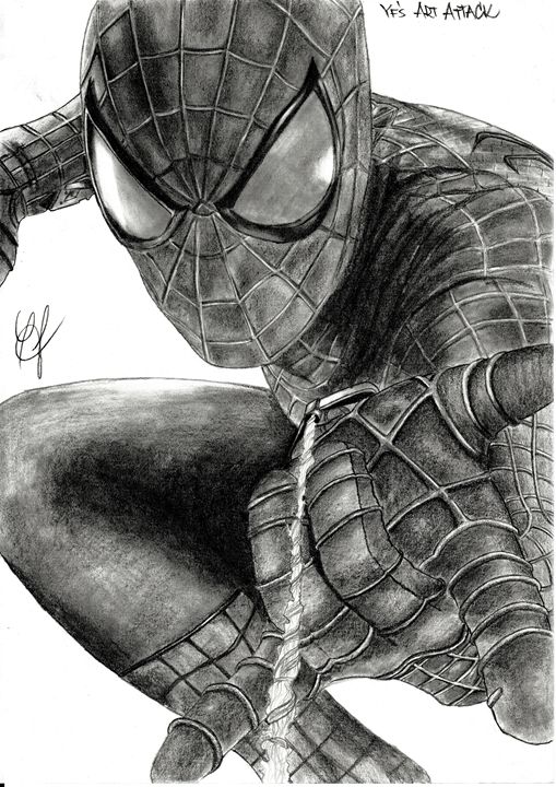 The Amazing Spider Man Drawing At Paintingvalley Explore