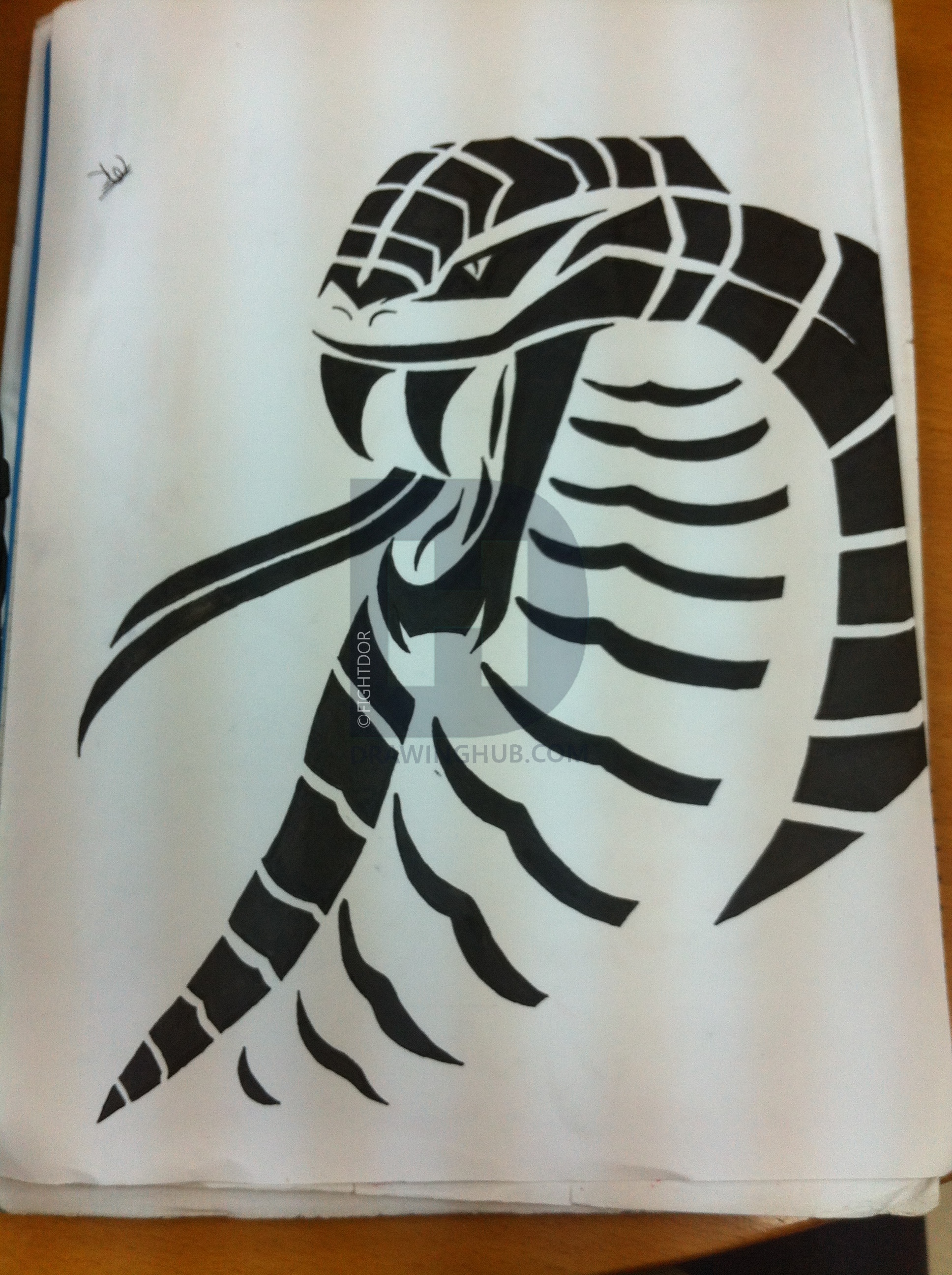 Tribal Snake Drawing At Paintingvalley Explore Collection Of