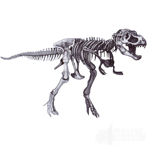 Tyrannosaurus Rex Skeleton Drawing At Paintingvalley Explore