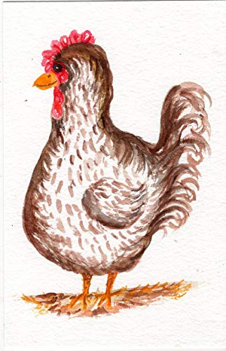 Chicken Watercolor Paintings At Paintingvalley Explore Collection