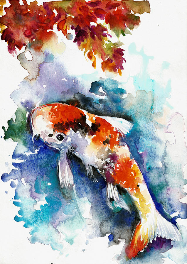 Coy Fish Watercolor At Paintingvalley Explore Collection Of Coy