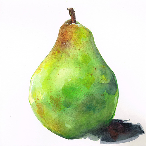 Pear Watercolor At Paintingvalley Explore Collection Of Pear