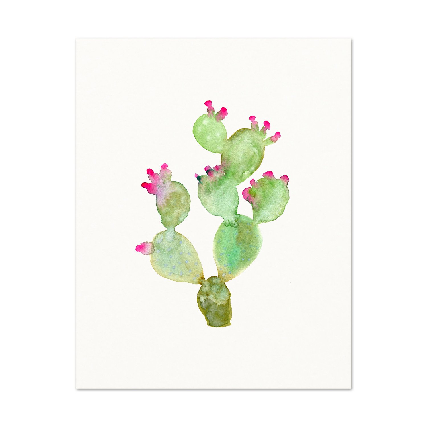 Prickly Pear Watercolor At Paintingvalley Explore Collection Of