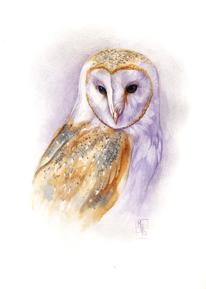 Watercolor Barn Owl At PaintingValley Explore Collection Of