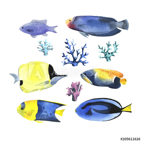 Tropical Fish Watercolor At PaintingValley Explore Collection Of