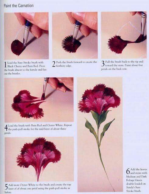 Carnation Painting At Paintingvalley Explore Collection Of