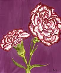 Carnation Painting At Paintingvalley Explore Collection Of