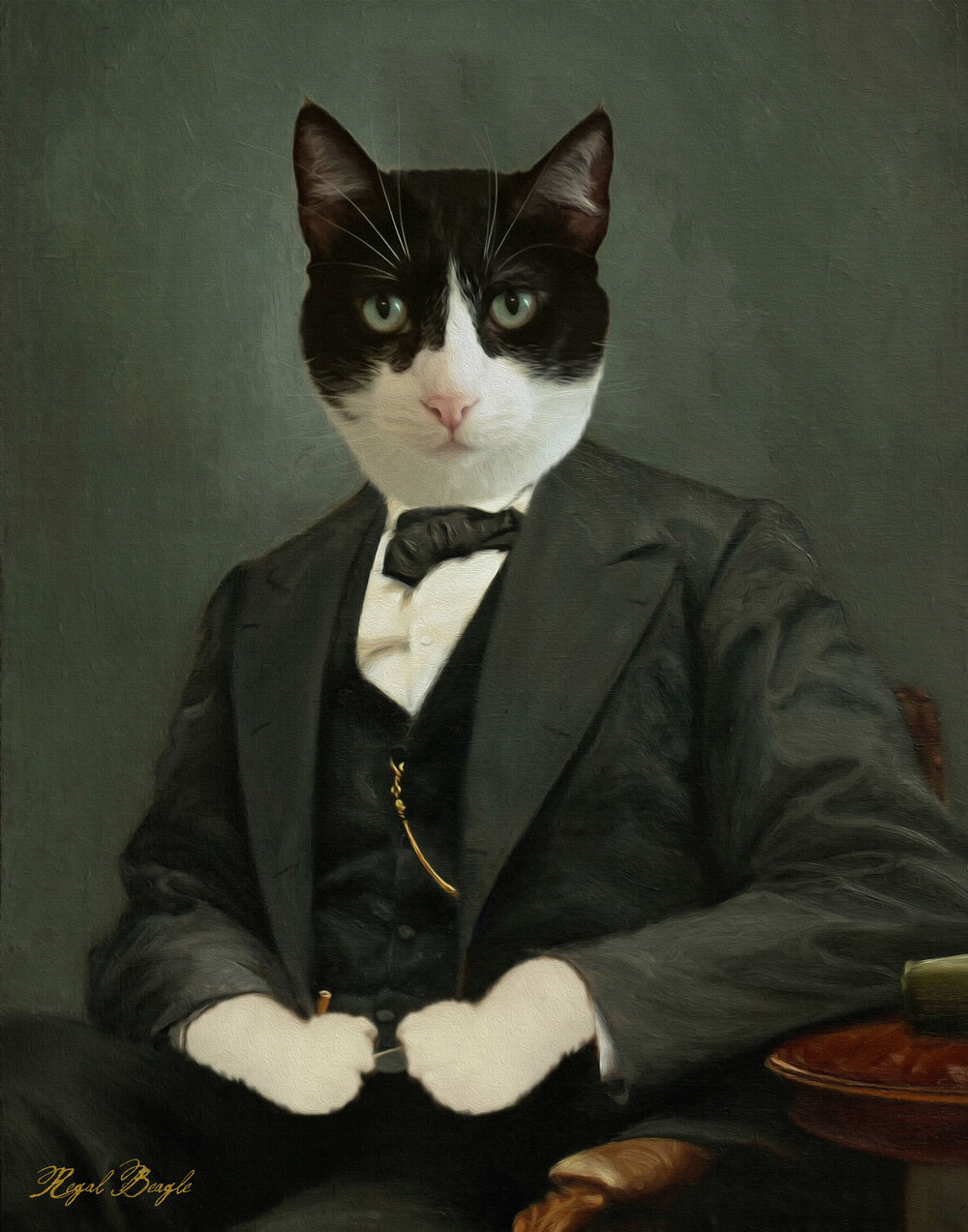 Cat In Suit Painting At Paintingvalley Explore Collection Of Cat