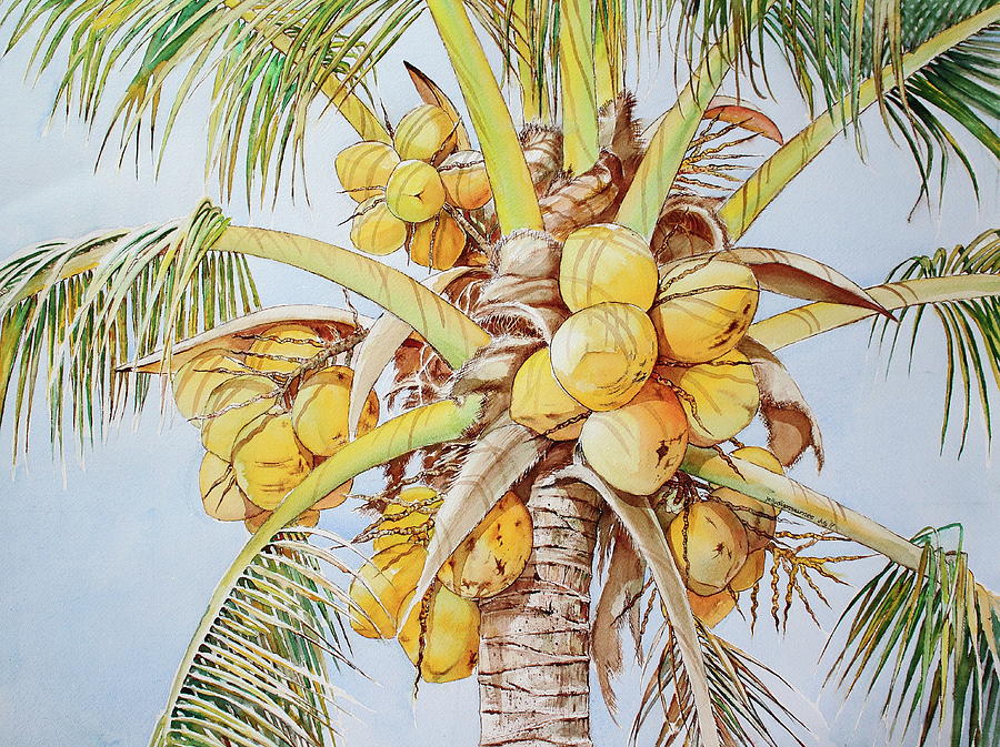 Coconut Tree Painting At Paintingvalley Explore Collection Of