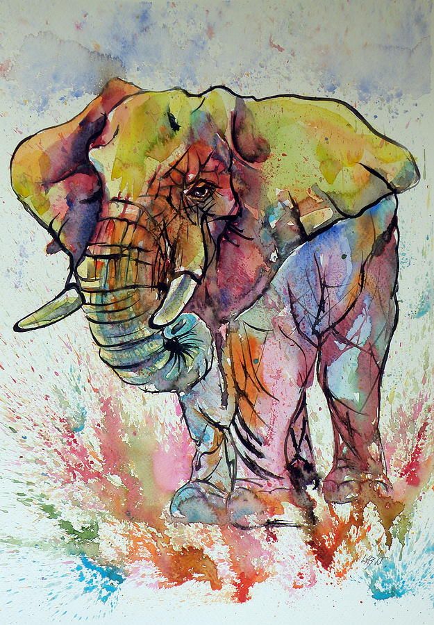 Colorful Watercolor Elephant Painting At Paintingvalley Explore