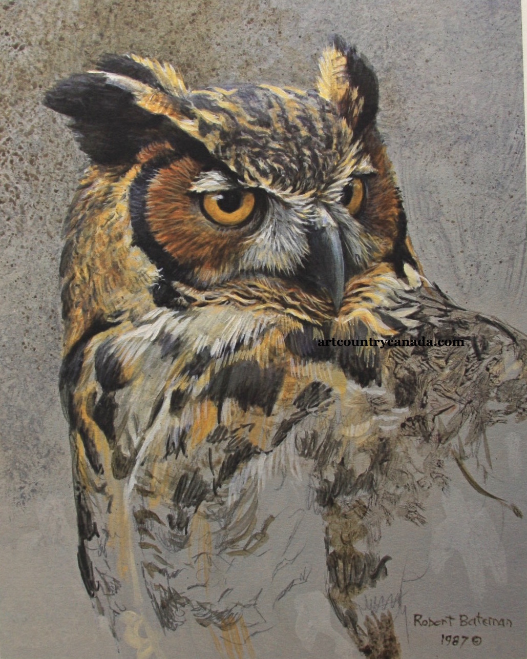 Great Horned Owl Painting At Paintingvalley Explore Collection Of