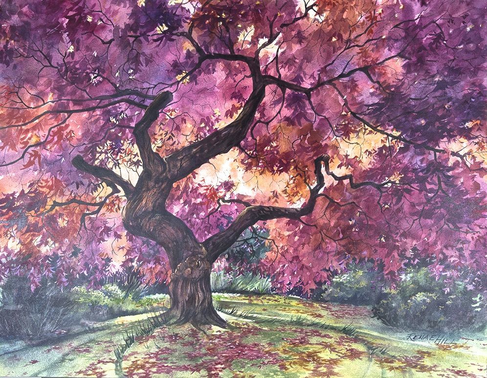 Japanese Maple Painting At PaintingValley Explore Collection Of