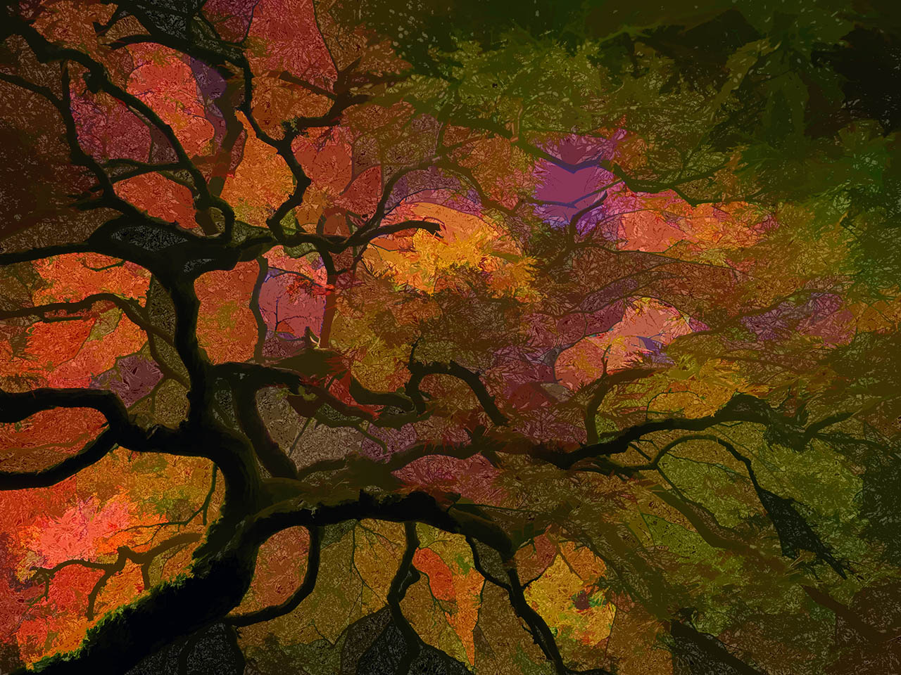 Japanese Maple Painting At Paintingvalley Explore Collection Of