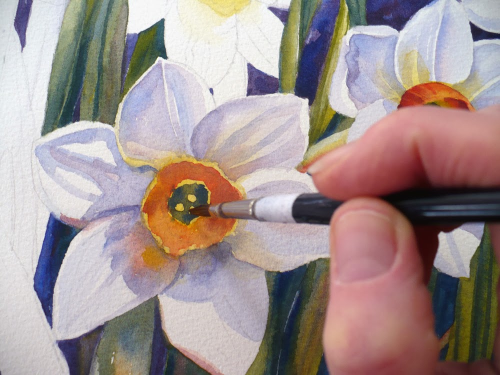 Narcissus Flower Painting At Paintingvalley Explore Collection Of