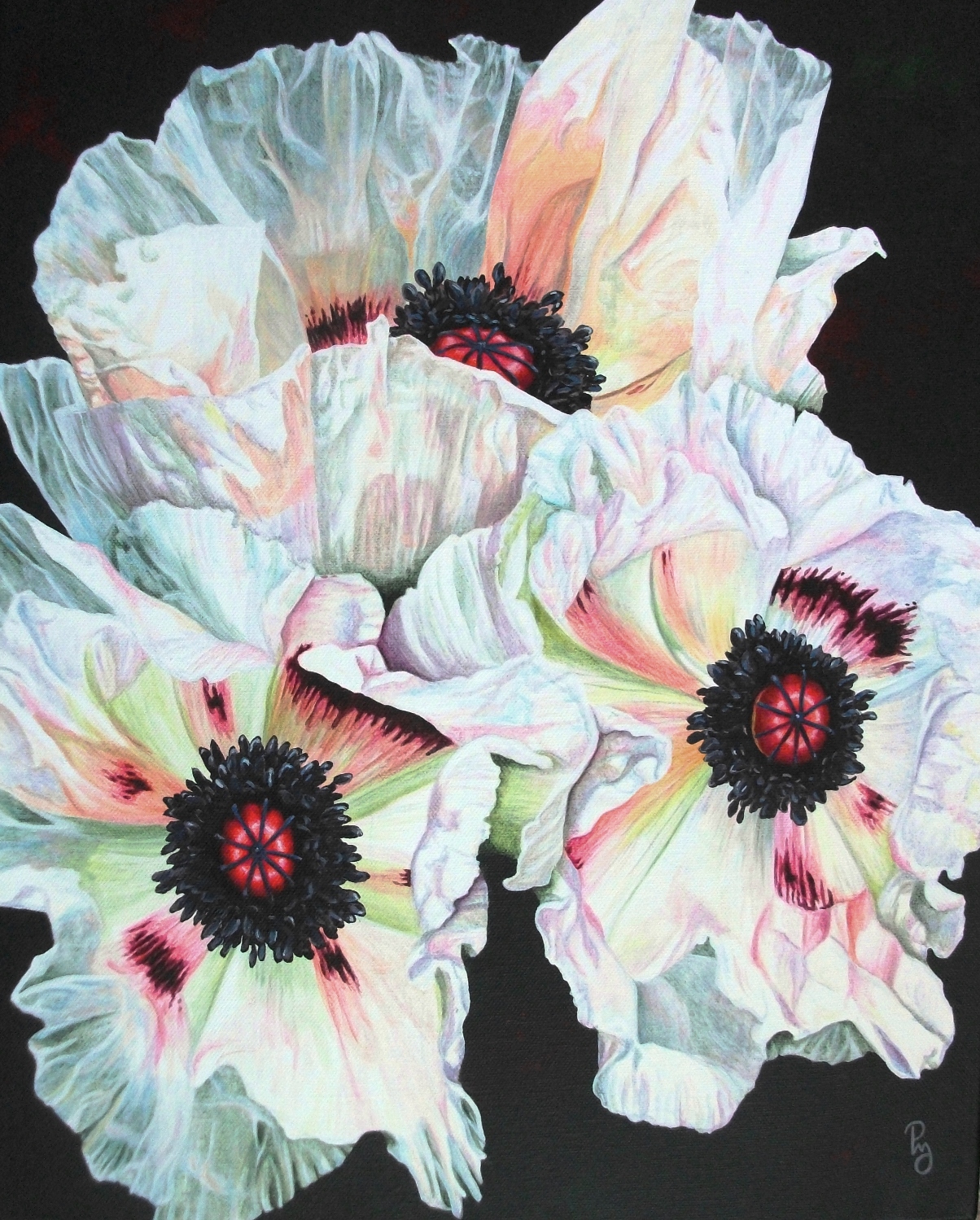 Oriental Poppies Painting At Paintingvalley Explore Collection Of