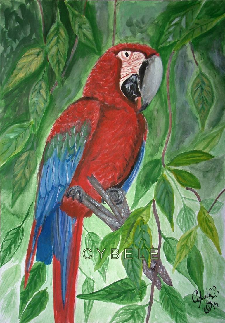 Parrot Painting Images At Paintingvalley Explore Collection Of