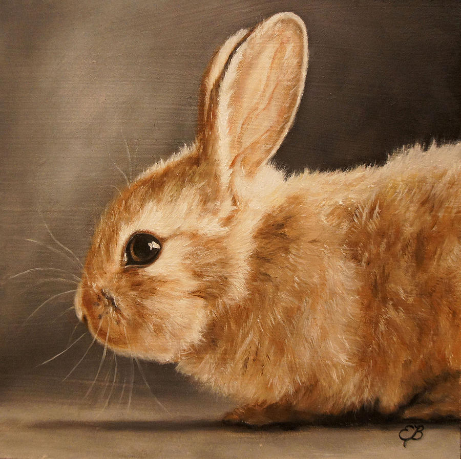 Elizabeth rabbit