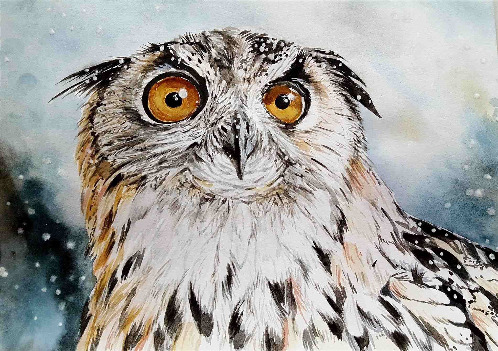 Realistic Owl Painting At Paintingvalley Explore Collection Of