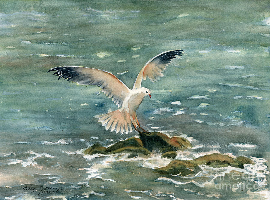 Seagull Painting At Paintingvalley Explore Collection Of Seagull