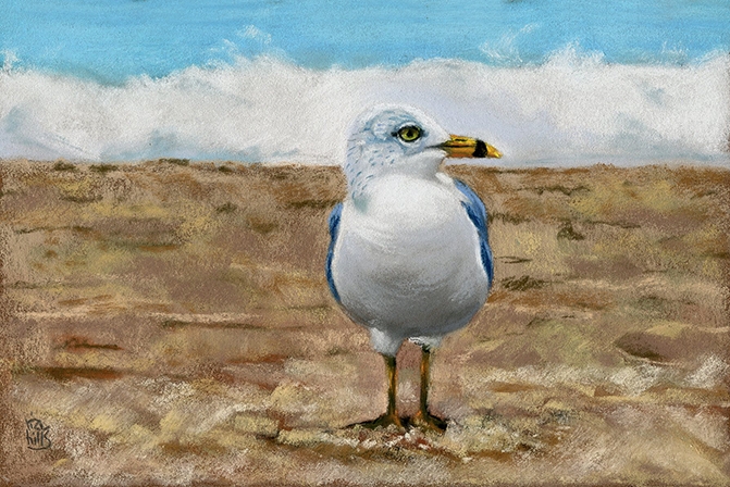 Seagull Painting At Paintingvalley Explore Collection Of Seagull