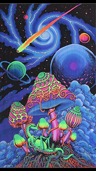 Trippy Mushroom Painting At Paintingvalley Explore Collection Of