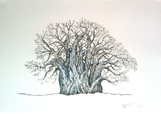 Baobab Tree Sketch At Paintingvalley Explore Collection Of Baobab